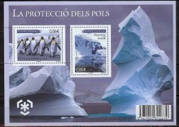 Andorre 2009 Polar Protection - Penguins SS MNH - Unused Stamps