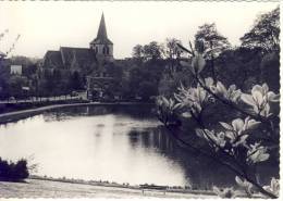 Dilbeek Gemeentehuis En St.Ambrosiuskerk - Dilbeek