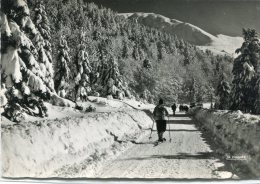 CPSM 63 LE MONT DORE ROUTE DU SANCY EN HIVER AU LOIN LE PUY DE CACADOGNE 1951  Grand Format 15 X 10,5 - Le Mont Dore