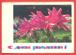 132495 / FLOWERS 1968 Birthday , Anniversaire By BEKETOVA / Stationery Entier Ganzsachen / Russia Russie Russland - 1960-69