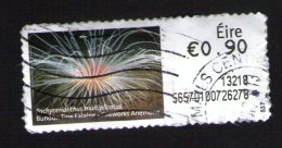 IRLANDE Vignette Pachycerianthus Multiplicatus Anémone EIRE 0,90 Euro - Viñetas De Franqueo (Frama)