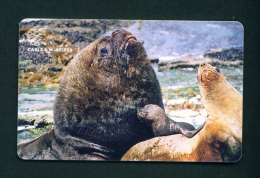 FALKLAND ISLANDS - Chip Phonecard Family Of Sea Lions - Isole Falkland