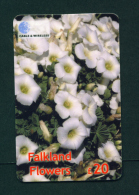 FALKLAND ISLANDS - Remote Phonecard Flower/Scurvy Grass - Falkland Islands