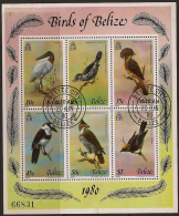 BELIZE 1980 Birds SG MS567 FU VU241 - Belize (1973-...)