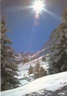 Cp , RÉGIONS , MIDI-PYRÉNÉES , Neige Et Soleil - Midi-Pyrénées