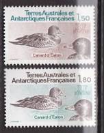 TAAF - Terres Australes Et Antartiques Françaises - N° 97/98   - MNH - Nuevos
