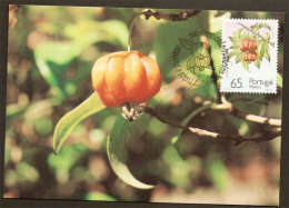 Portugal Madère Cerisier De Cayenne Fruit Carte Maximum 1991 Surinam Or Brazilian Cherry Madeira Maxicard - Maximumkaarten