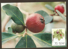 Portugal Madère Goyave De Chine Fruit Carte Maximum 1991 Lemon Guava Madeira Maxicard - Maximum Cards & Covers