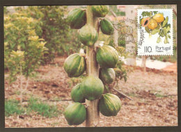 Portugal Madère Papaye Fruit Carte Maximum 1991 Papaya Madeira Maxicard - Cartoline Maximum