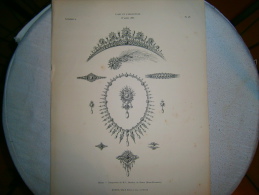 PLANCHE L ART ET L INDUSTRIE  BIJOUX    ANNEE 1886 - Altri Disegni