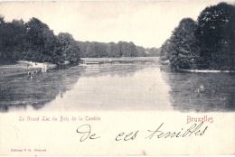 BRUXELLES  Le Grand Lac  - Précurseur Timbré TTB - Bossen, Parken, Tuinen