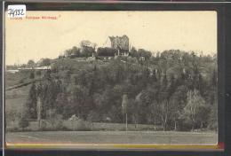 SCHLOSS WILDEGG - TB - Wildegg