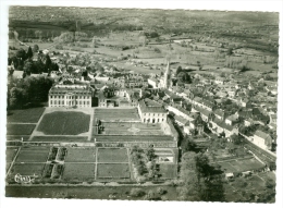 LE GRAND-LUCE - Le Château - Vue Aérienne - Le Grand Luce