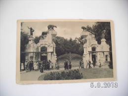 Hamburg. - Carl Hagenbecks Tierpark. (8 - 7 - 1929) - Stellingen