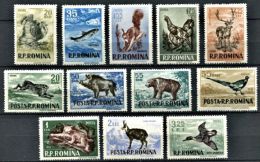 117 ROUMANIE 1956 - Animaux Gibiers (Chasse Et Peche) - Neuf Sans Charniere (Yvert 1438/49) - Neufs