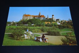Sigmaringen - Donau Mit Schloss   ( 10 ) - Sigmaringen