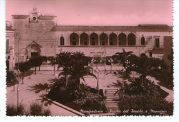 Bellissima Cartolina  Anni 50  (formato Grande)      " Manfredonia -  Piazza Del Popolo E Municipio " - Manfredonia