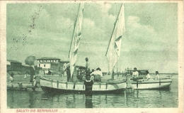 Senigallia(Ancona)-Saluti-1917 - Senigallia