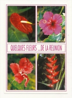 Cp, Ile De La Réunion, Quelques Fleurs, Multi-Vues, écrite 1996 - Sonstige & Ohne Zuordnung