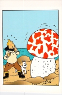 TINTIN - Hergé Moulinsart N° 38 - Hergé