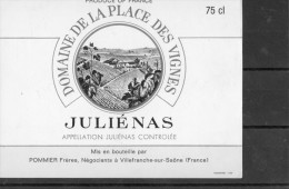 BEAUJOLAIS -Juliénas Domaine De La Place Des Vignes - Beaujolais