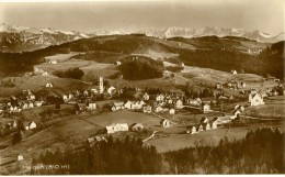 Heiden - Luftkurort Im Appenzell         Ca. 1920 - Heiden