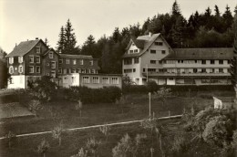 Walzenhausen - Evang.Sozialheim Sonneblick           Ca. 1950 - Walzenhausen