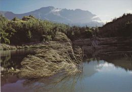 Cp , LA RÉUNION , Cirque De Salazie , La Mare à Poule D'Eau - Andere & Zonder Classificatie