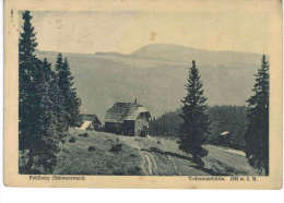 Allemagne - Feldberg Todtnauerhutte - Feldberg