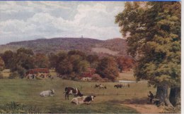 A R QUINTON 1533  - LEITH HILL FROM OCKLEY GREEN - Quinton, AR