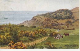 A R QUINTON 1631 - PATH TO THE LANDSLIP SHANKLIN IOW - Quinton, AR