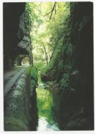 CP, 38, LE VERCORS, Route Des Grands Goulets, écrite - Vercors