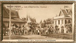 CHOCOLAT SUCHARD : IMAGE N° 240 . PNOM-PENH . LES ELEPHANTS ROYAUX . CAMBODGE . - Suchard