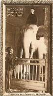 CHOCOLAT SUCHARD : IMAGE N° 199 . INDOCHINE . GENIE A DOS D'ELEPHANT . - Suchard