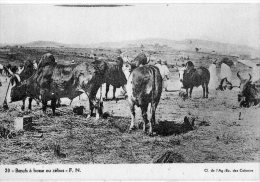 Afrique Noire A.E.F.    Tchad      Zébus   ( Voir Scan ) - Tschad