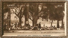 CHOCOLAT SUCHARD : IMAGE N° 203 . LE PETIT LAC . TONKIN . - Suchard
