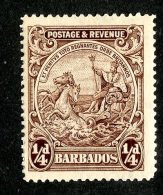 157 X)  Barbados 1925  SG.229 ~sc165  M* - Barbados (...-1966)