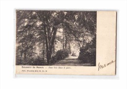 BELGIQUE Le Roeulx, Parc, Sous Bois, Ed Nels, 1904, Dos 1900 *** Princesse De Croij *** - Le Roeulx