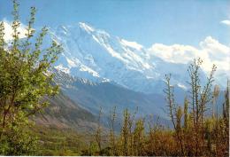 PAKISTAN : Raka Poshi (Nagar) ( 7787m) - Clearly Seen From Hunza - Pakistan