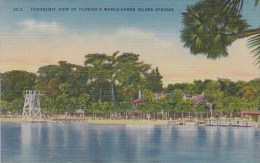 Florida Silver Springs Panoramic View Of Floridas World Famed Silver Springs - Silver Springs