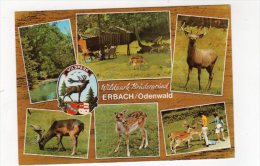 Sept13    61231     Wildpark Brudergrund   Erbach Odenwad - Erbach