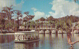 Florida Silver Springs - Silver Springs