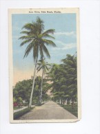 Florida Palm Beach Auto Drive  1926      2 SCANS - Palm Beach
