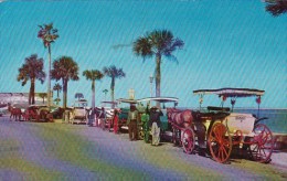 Florida Saint Augustine Colorful Horse Drawn Carriages Add To The Hisforic Atmosphere Of Old Saint Augustine - St Augustine