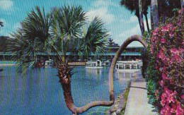 Florida Silver Springs Home Of World Famous Glass Bottom Boats - Silver Springs