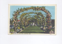 Hartford Connecticut, Rose Arches, Elizabeth Park 1928        2 SCANS - Hartford