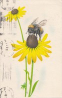 ZS48631 Bee Abeille Richter Ilona Flowers Fleur    2 Scans - Insecten