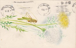 ZS48634 Grasshopper Sauterelle Insects Flowers Fleur    2 Scans - Insectos