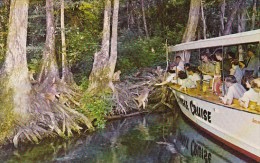 Florida Silver Springs Floridas Silver Springs Home Of World Famous Glass Bottom Boats - Silver Springs