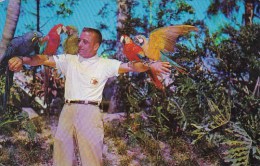 Florida Tampa Rich Naegeli Bird Trainer With Some Of His Beautiful Macaws Stars Show At Admission Free Busch Gardens1961 - Tampa